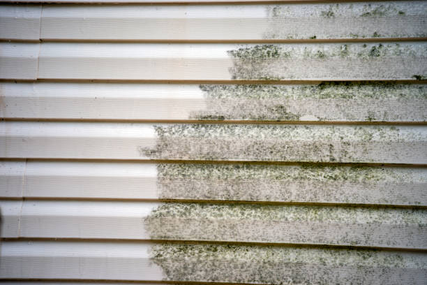 Best Siding Repair  in Eatonville, FL