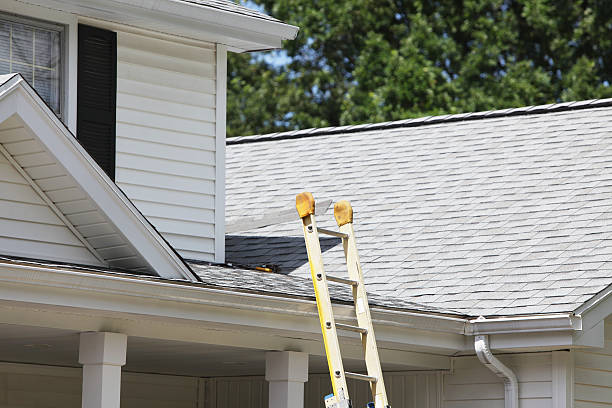 Best Storm Damage Siding Repair  in Eatonville, FL